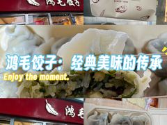 -鸿毛饺子(紫竹桥店)
