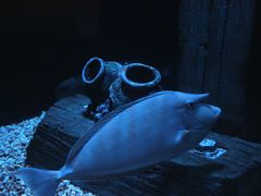 -成都浩海立方海洋公园
