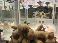 -PAWTOY爪e玩偶店(天兴罗斯福店)