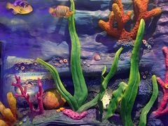 -青岛嘉年华主题乐园