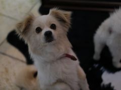 -零几体验diy皮具工作室(振业城店)