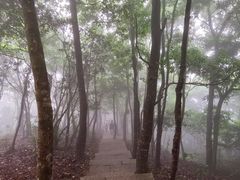 -梧桐山风景名胜区