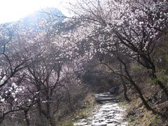 -阳台山自然风景区