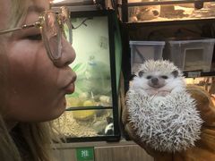 -藦茜花园宠物主题亲子互动体验馆(国顺东路店)