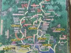 -牛鱼嘴原始生态风景区