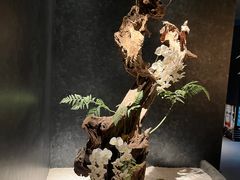 -神奈川·小京