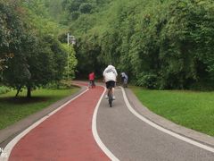 -贵阳市花溪国家城市湿地公园