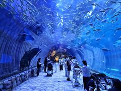 -华夏文旅海洋公园