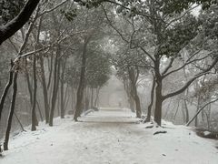 -灵岩山风景区