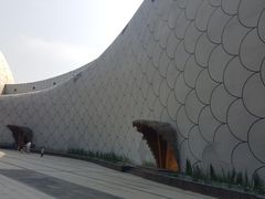 -泗洪洪泽湖湿地景区