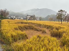 -塔川景区