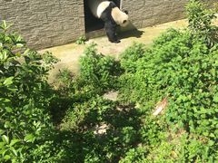 -黔灵山公园
