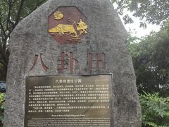 -八卦田遗址公园