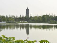 -西海子公园