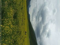 -扁都口生态休闲旅游区