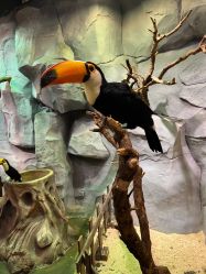 -Zoolung Zoolung动物主题公园(海信广场店)