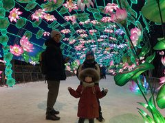 -沈阳奥体冰雪嘉年华
