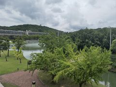 -上海佘山世茂艾美酒店