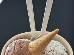 -极拉图·现制冰淇淋(大卫城店)