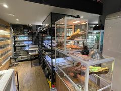 -酷以爬仙阁实体爬宠店·守宫·蜥蜴·专业繁育