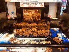 -蟹道乐(道顿堀本店)