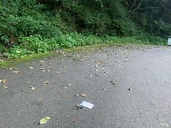 -黄椅山火山森林公园