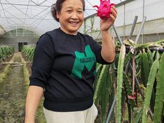 -洪湖家庭农场·团建·露营·会议