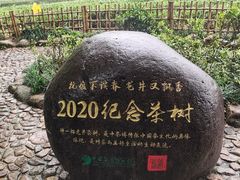 -中国茶叶博物馆(双峰馆区)