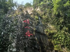 -海南霸王岭国家森林公园