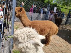 -长白岛森林公园