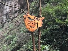 -重庆武隆天生三桥风景区-神鹰天坑