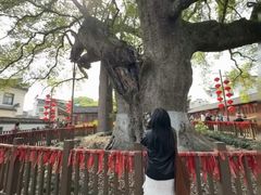 -新安江山水画廊风景区