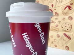 -哈根达斯(大悦城店)