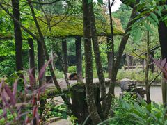 -中国大熊猫保护研究中心雅安碧峰峡基地