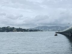 -演武大桥观景平台