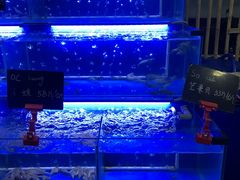 -QQ海鲜餐厅