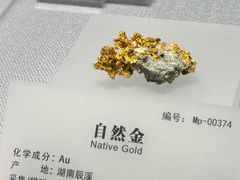 -湖南省地质博物馆