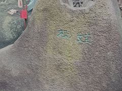 -呀诺达热带雨林