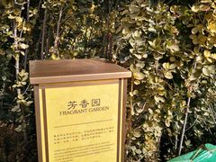 -大连金石滩绿发温泉假日酒店