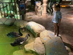 -zoonana室内动物园(东方福来德店)