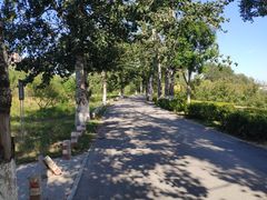 -东坝千亩湖公园