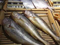 -荣府宴(南阳路店)