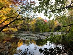 -北海道厅旧本厅舍(旧本庁舎)