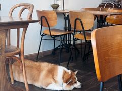 -肥朵食堂(带梦胡同店)