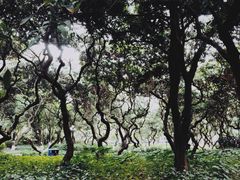 -黄埔区图书馆(大沙街分馆)