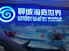 -聊城海底世界