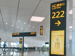 -郑州新郑国际机场-T2航站楼