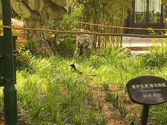 -君庭中餐厅(友谊宾馆店)