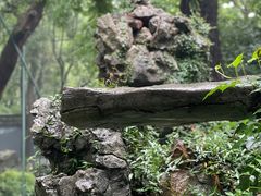-绮园景区