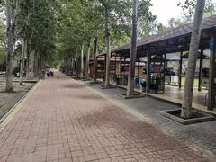 -杨柳青庄园